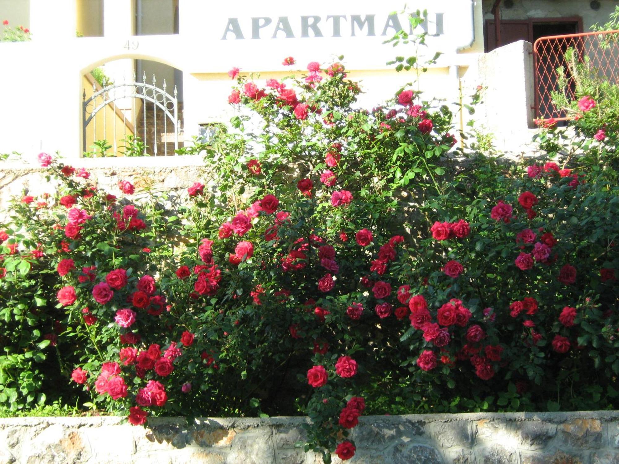 Apartments Laura Senj  Esterno foto